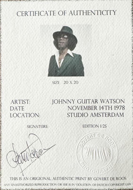 Watson Johnny Guitar